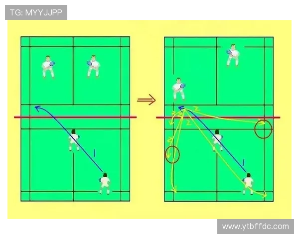 从零基础到高手之路羽毛球技术全面提升指南